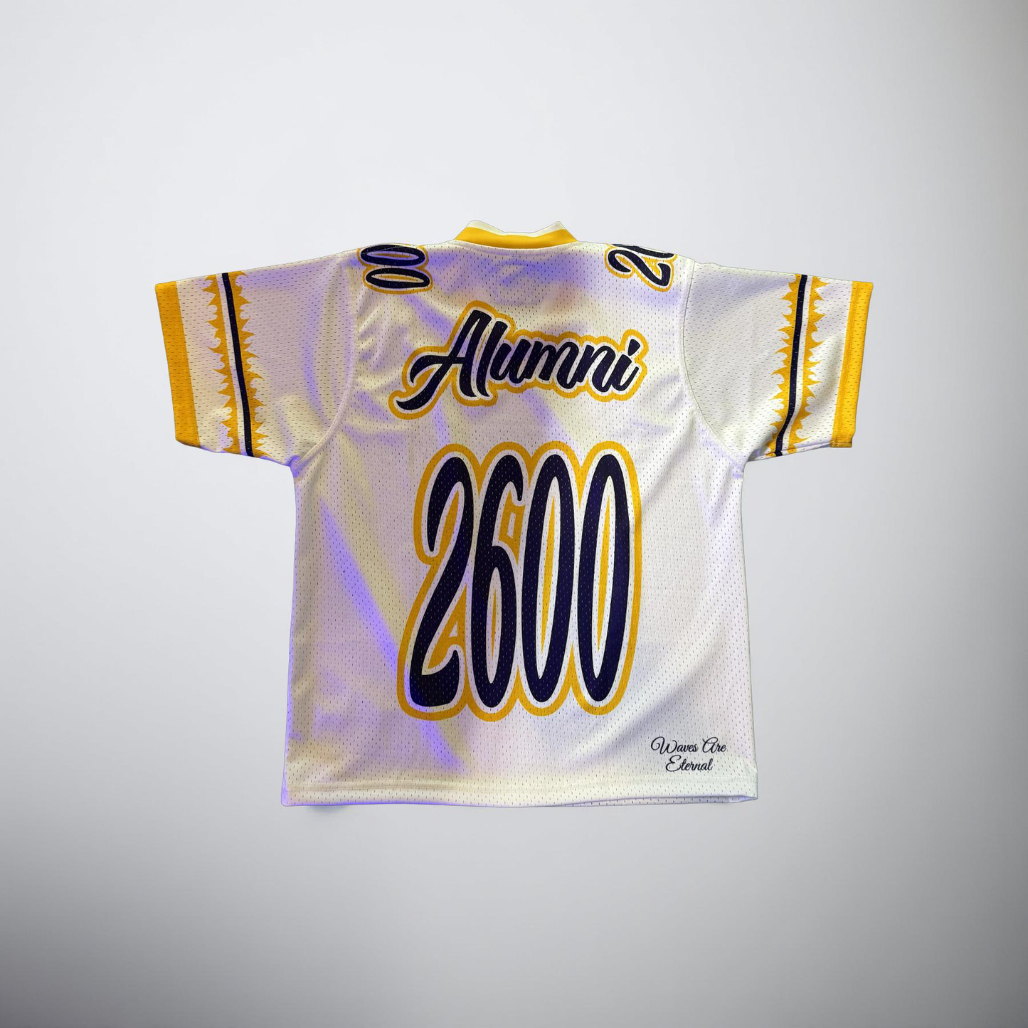 (2 Colors)St.Aug x Seventh Ave Collab Jersey